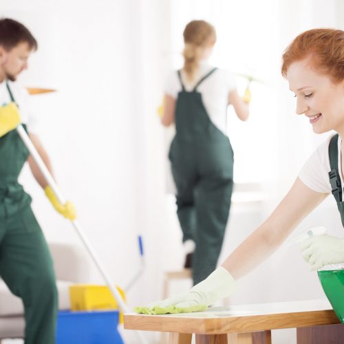 Cleaning service during work